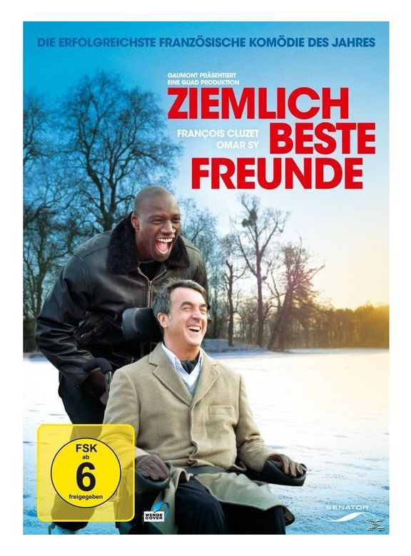 Ziemlich beste Freunde (DVD) 