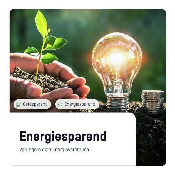 APM2 Energiekosten-Messgerät digital 