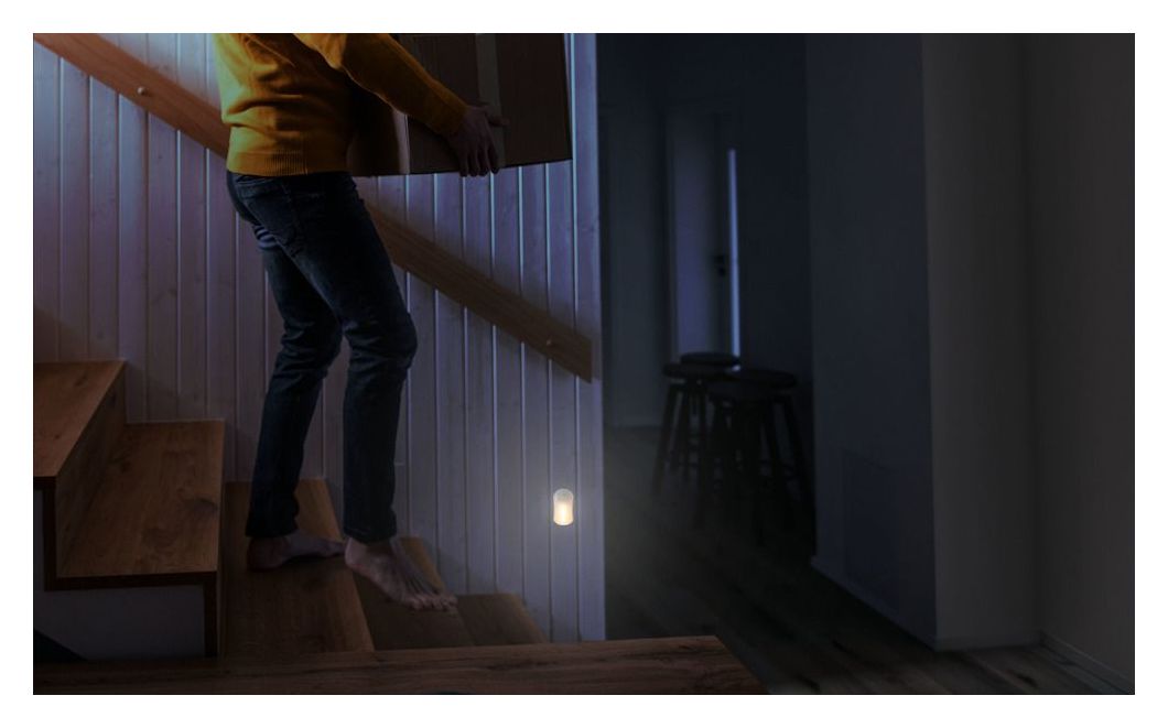 NL25B Orientierungslicht LED Batterie/Akku 