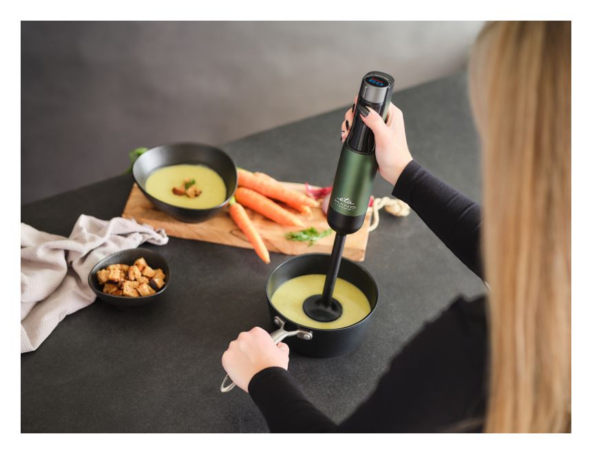 Mano Stabmixer 1000 W 9 Stufen  (Schwarz, Grün) 