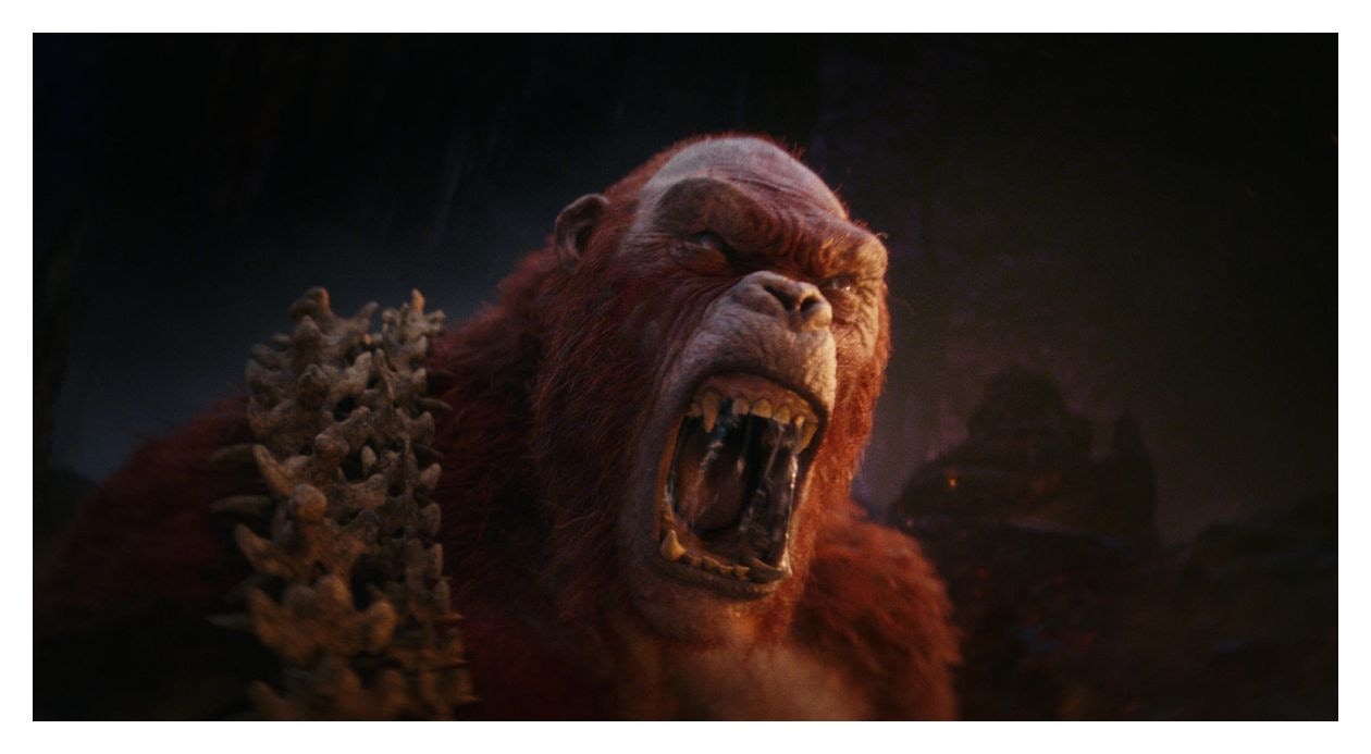 Godzilla x Kong: The New Empire (DVD) 