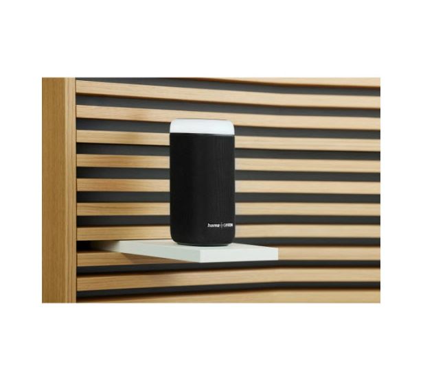 188230 Glow Pro 30 W Bluetooth Lautsprecher IPX4 Laufzeit bis 12 h  (Schwarz) 