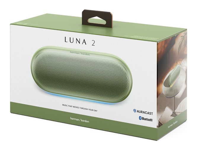 Luna 2 25 W Bluetooth Lautsprecher  (Minze) 