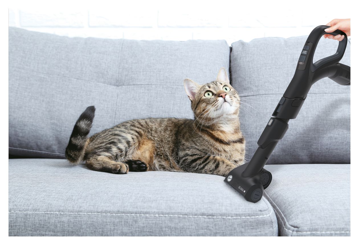 HP730ALG Bodenstaubsauger Beutellos 850 W Allergy Plus, HEPA  (Schwarz) 