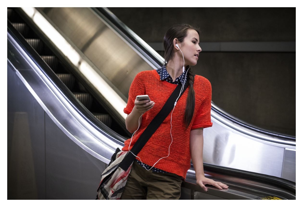 Tune 210 In-Ear Kopfhörer Kabelgebunden  (Grau) 