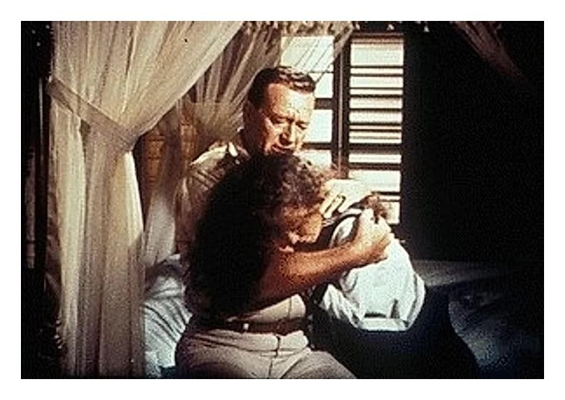 John Wayne - 13-Movie Collection (DVD) 