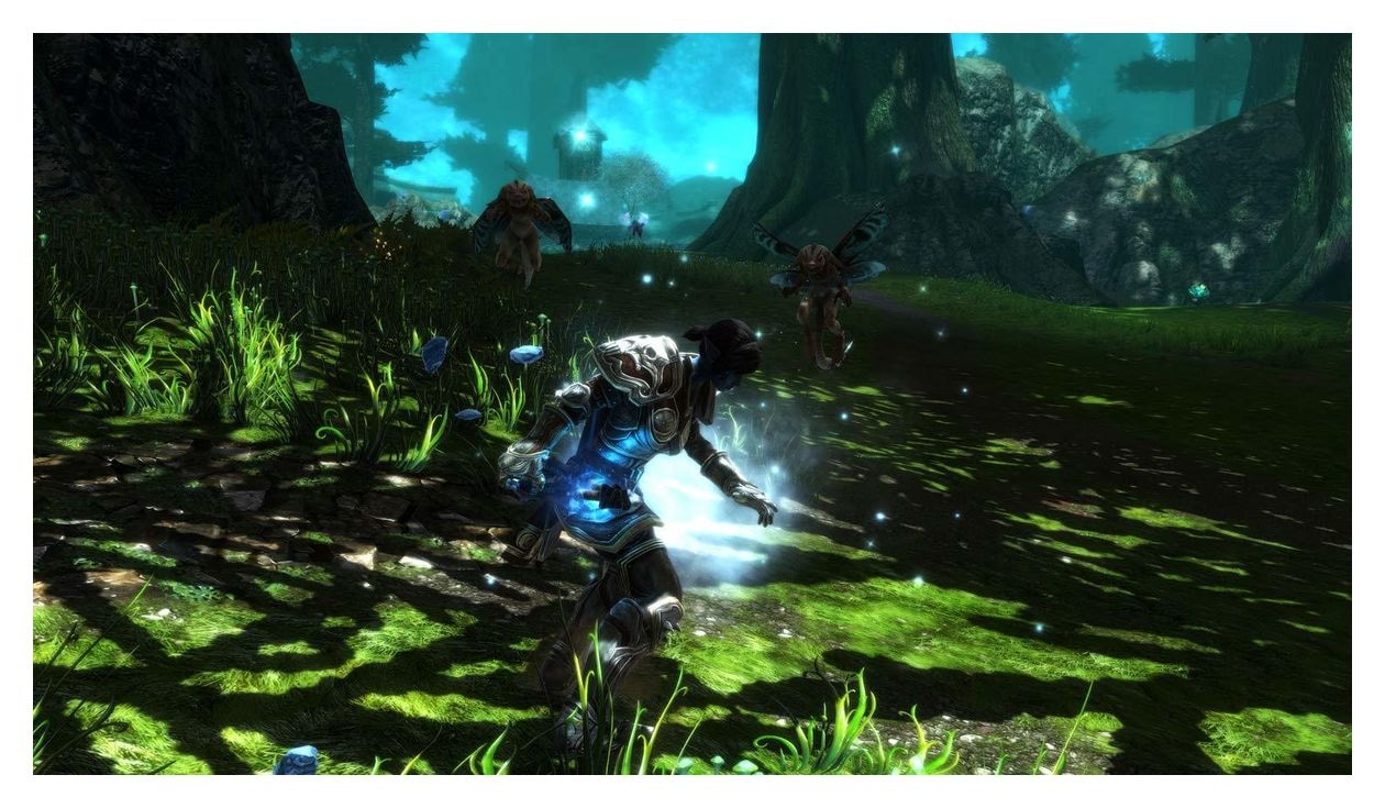 Kingdoms of Amalur Re-Reckoning (Nintendo Switch) 