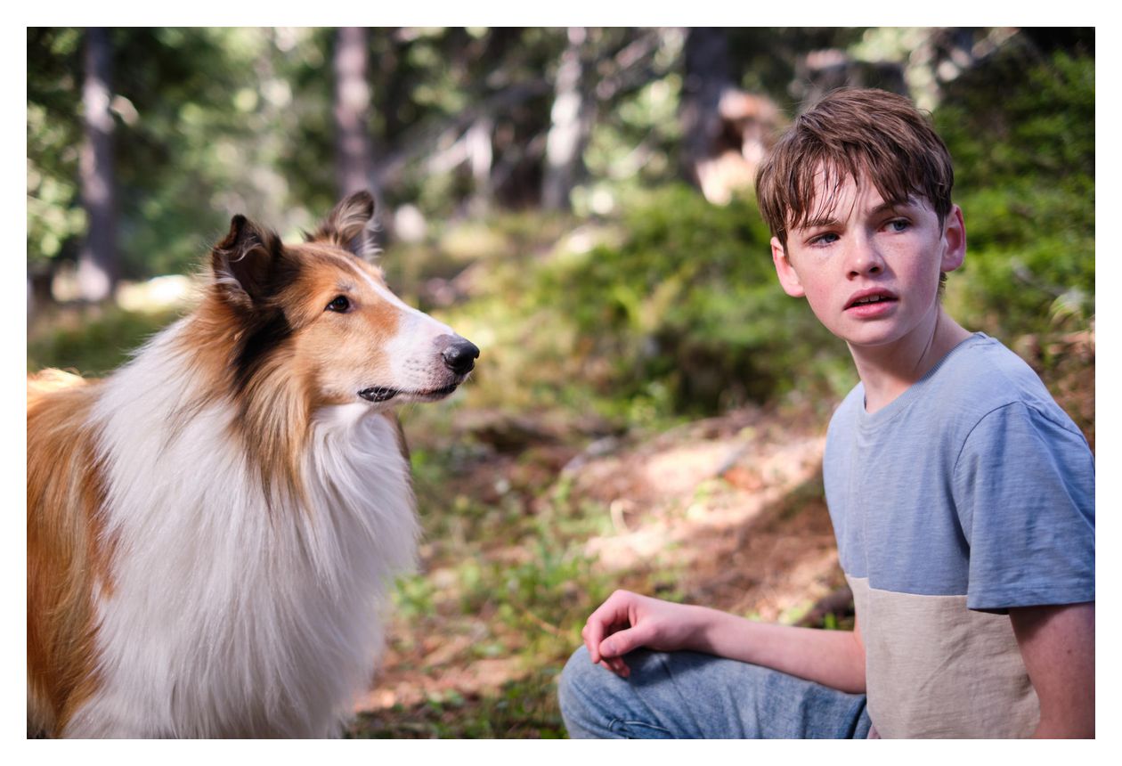 Lassie - Ein neues Abenteuer (DVD) 