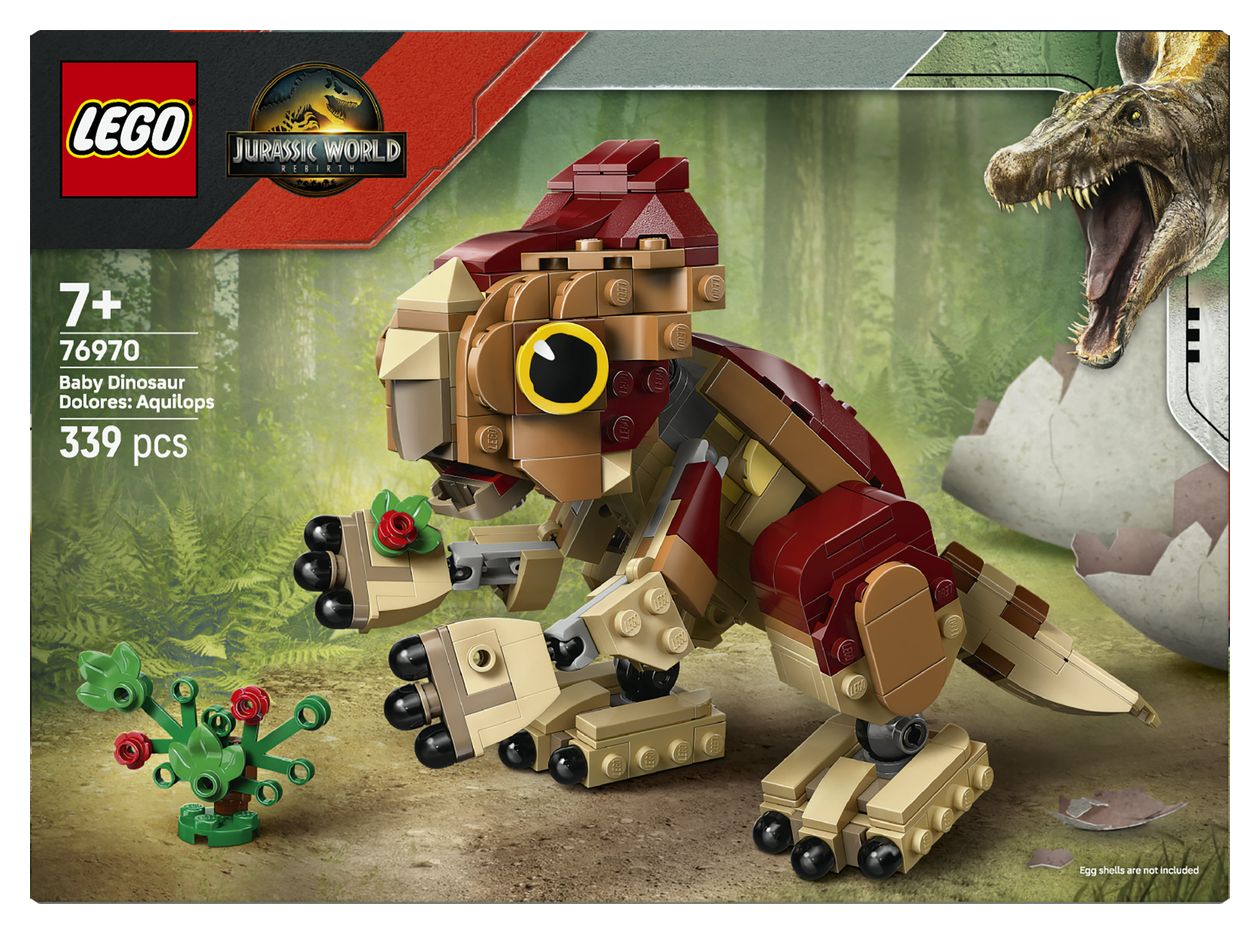 Babydinosaurier Dolores: Aquilops 
