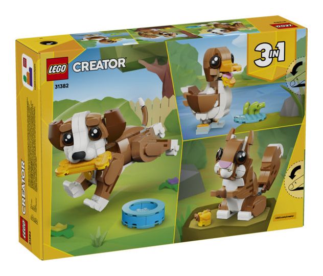 Niedliche Tiere: Verspielter Welpe 