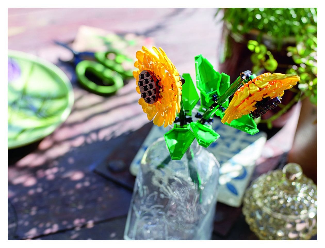 Sonnenblumen 