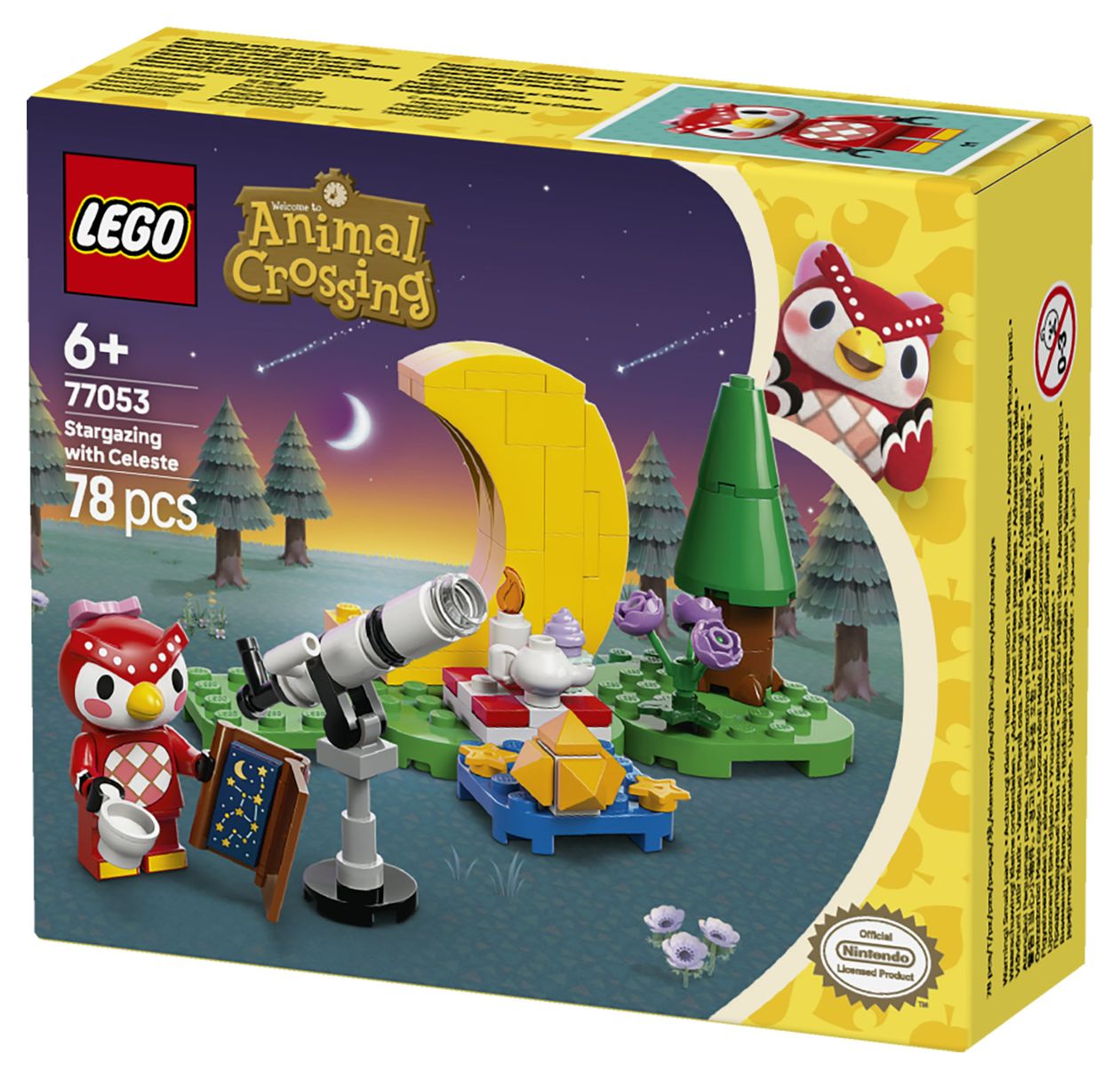 Sternbeobachtung mit Eufemia 