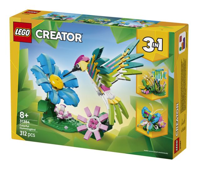 Wilde Tiere: Bunter Kolibri 