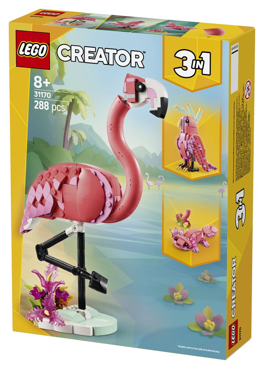 Wilde Tiere: Rosa Flamingo 