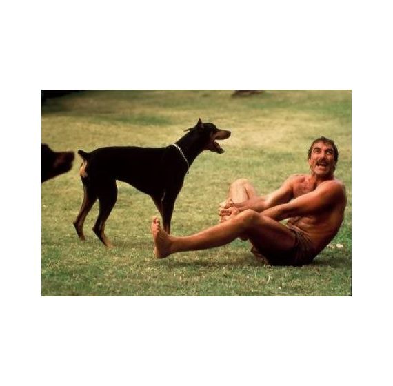 Magnum - Die komplette Serie (Staffel 1-8) (DVD) 