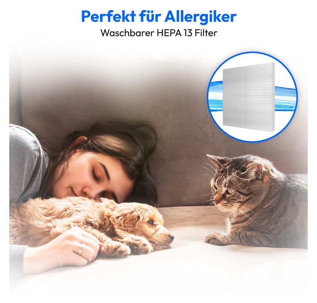 E2001 MD12078 Bodenstaubsauger Beutellos 800 W HEPA (Transparent, Schwarz, Blau) 