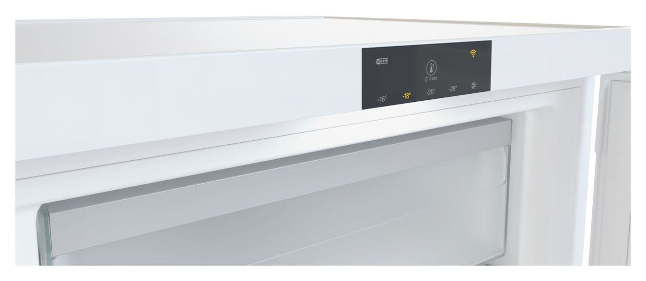 F4001C 107 l Gefrierschrank 110 kWh Jahr  (Weiß) 