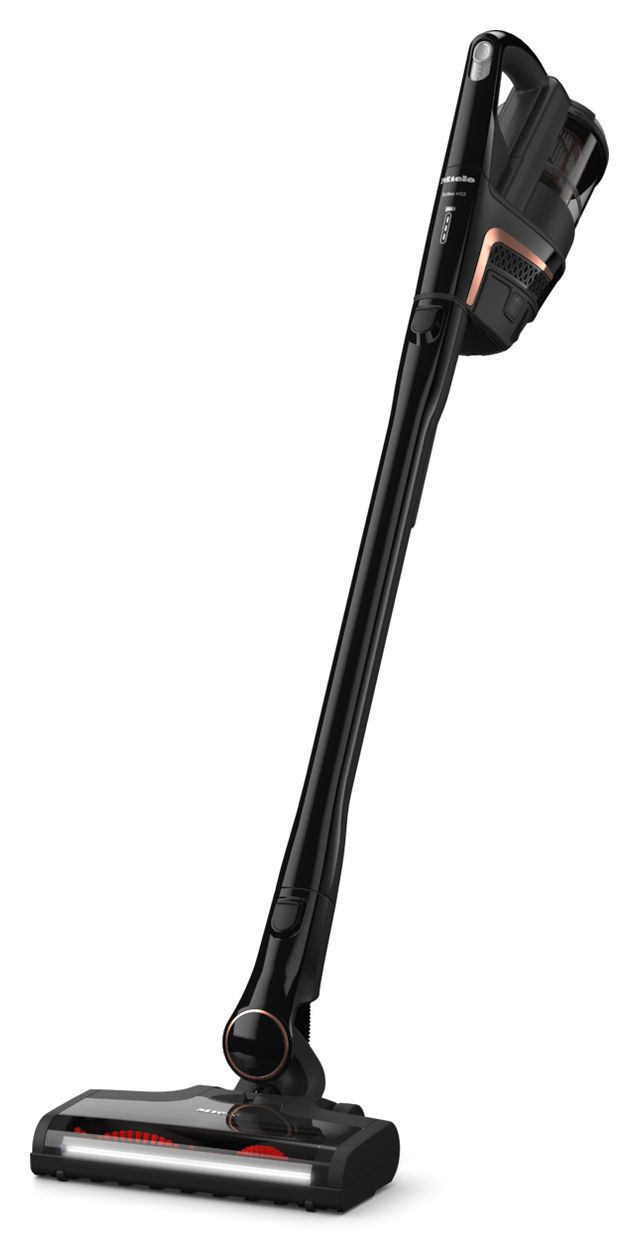 Triflex HX2 Extra Handstaubsauger Beutellos bis 60 min Laufzeit 25,2 V HEPA  (Schwarz) 