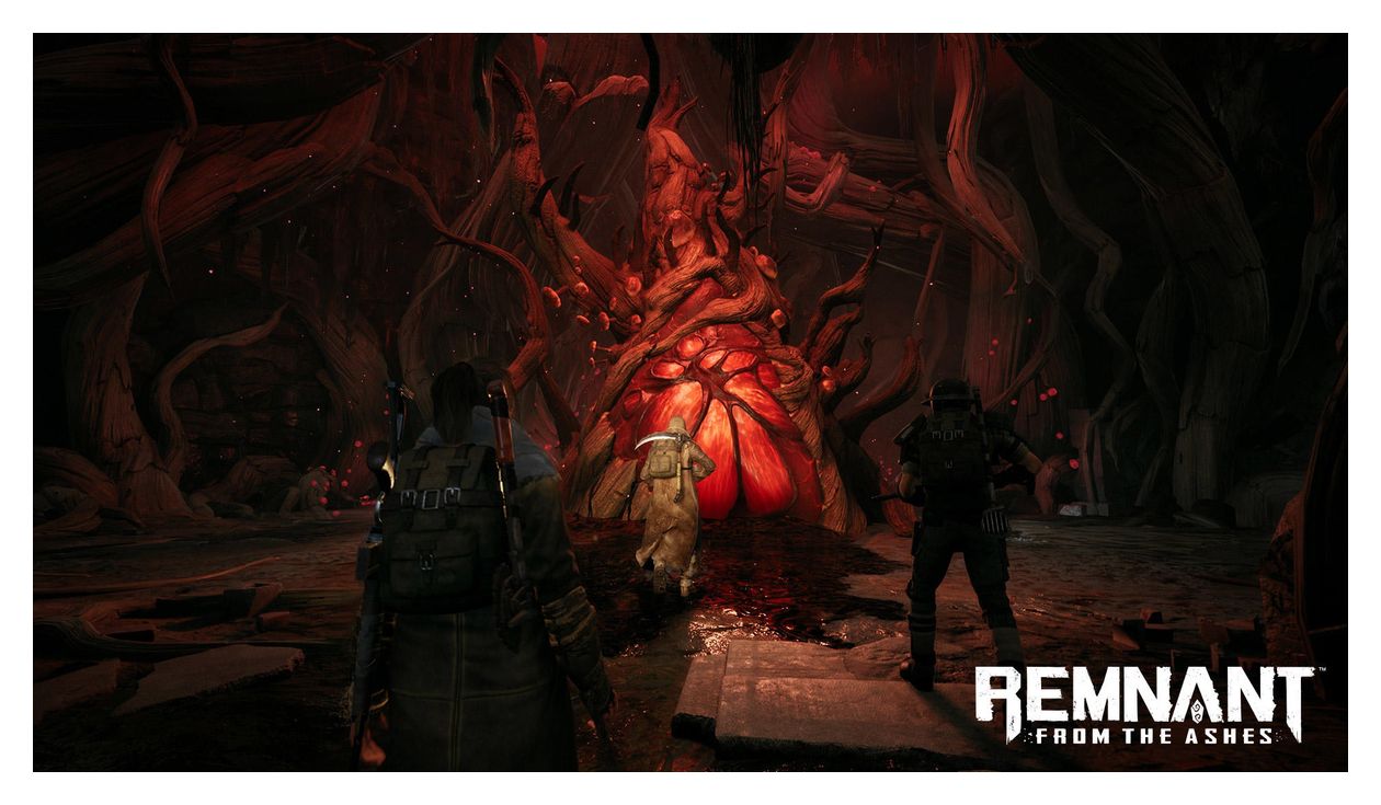 Remnant: From the Ashes, Switch 