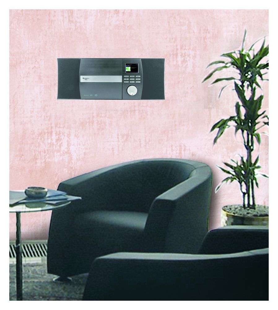 ICD1010AN FM Radio  (Grau) 