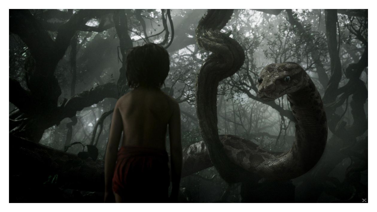 The Jungle Book (DVD) 