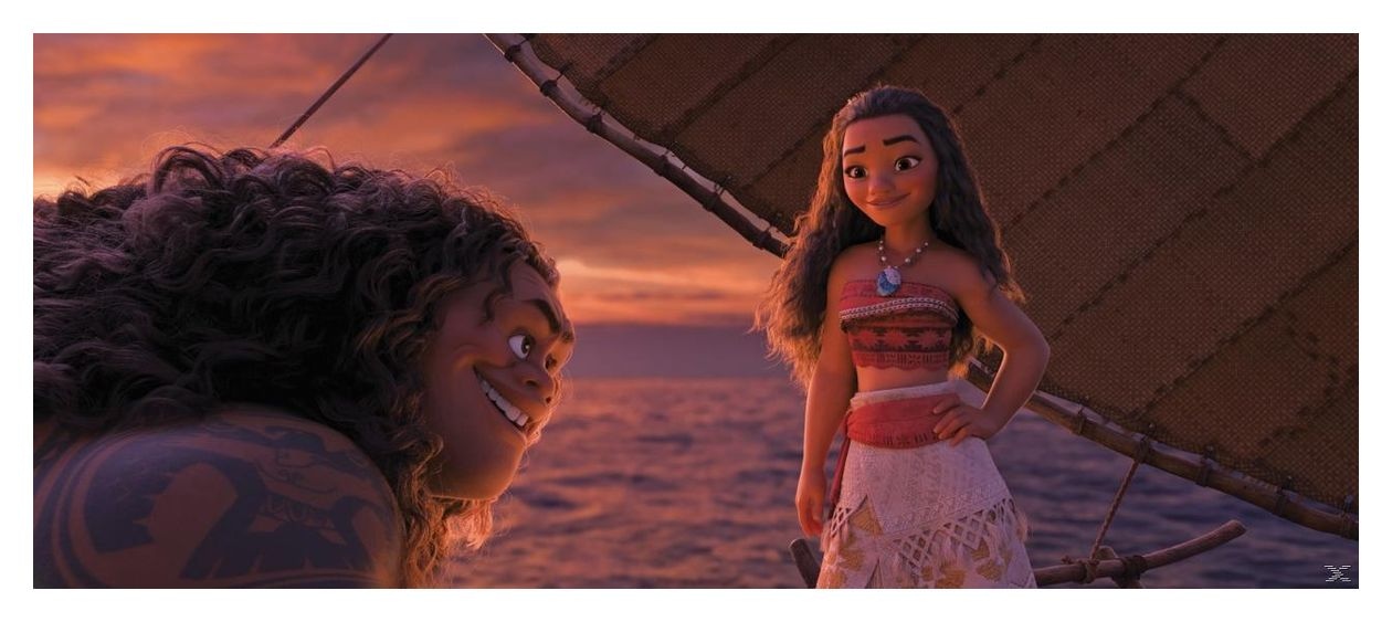 Vaiana (DVD) 