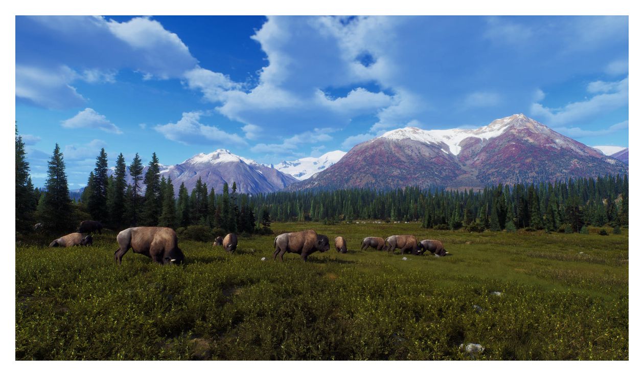 Way of the Hunter - Wild Expeditions (PlayStation 5) 