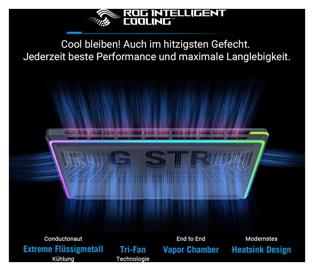 ROG Strix G615LW-TS338W WQXGA Notebook 40,6 cm (16 Zoll) 2560 x 1600 Pixel 32 GB Ram 1 TB SSD Windows 11 Home Intel Core Ultra 9 max. 5,5 GHz NVIDIA GeForce RTX 5080  (Grau) 