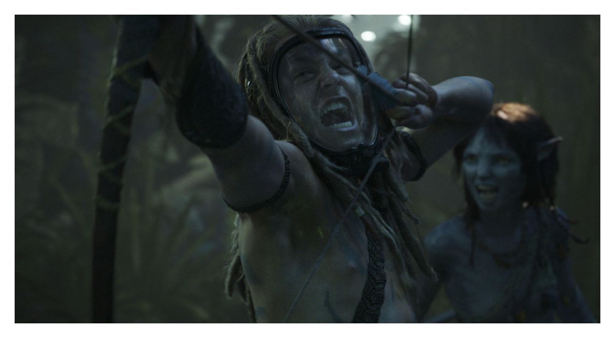 Avatar: The Way of Water (DVD) 