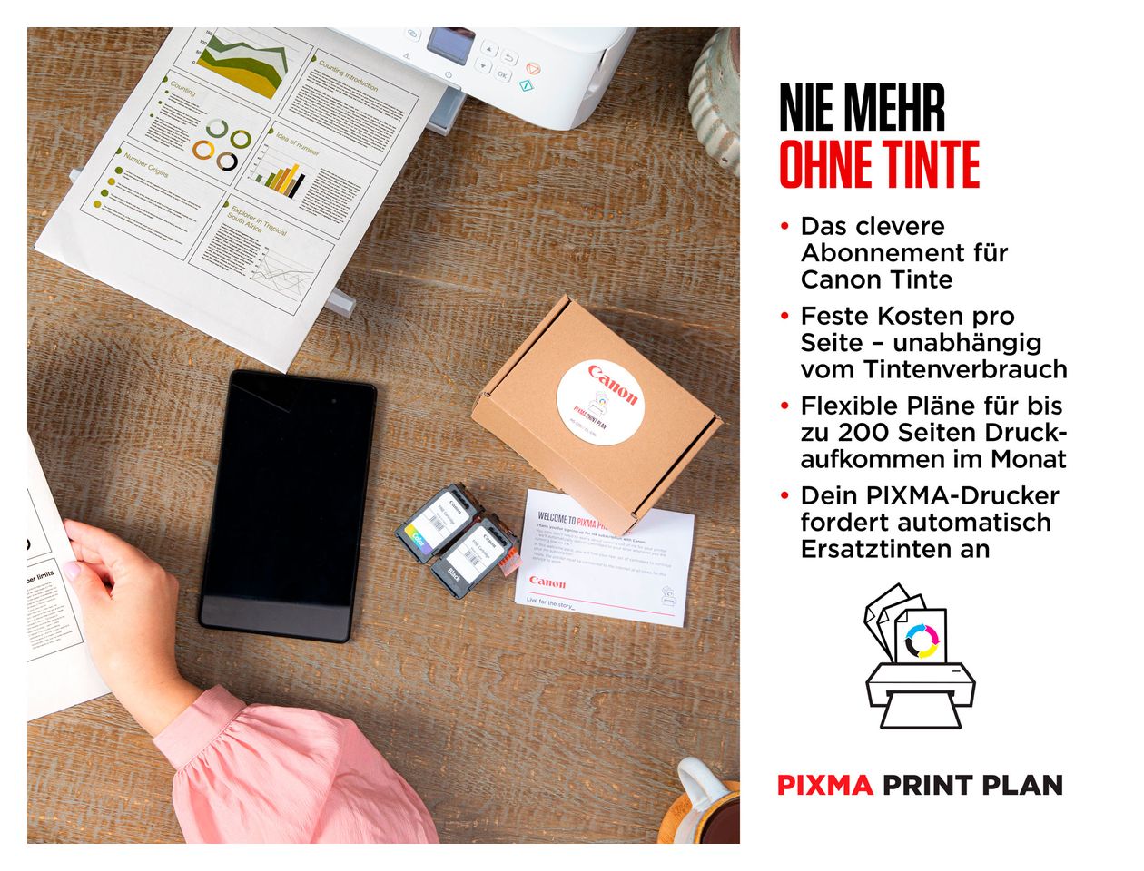 Pixma TS3750i All in One A4 Tintenstrahl Drucker 4800 x 1200 DPI 
