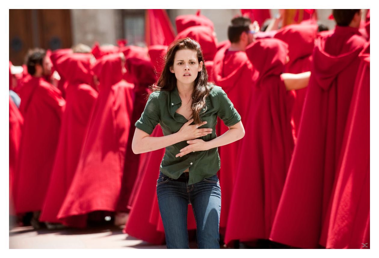 Die Twilight-Saga Film Collection (DVD) 