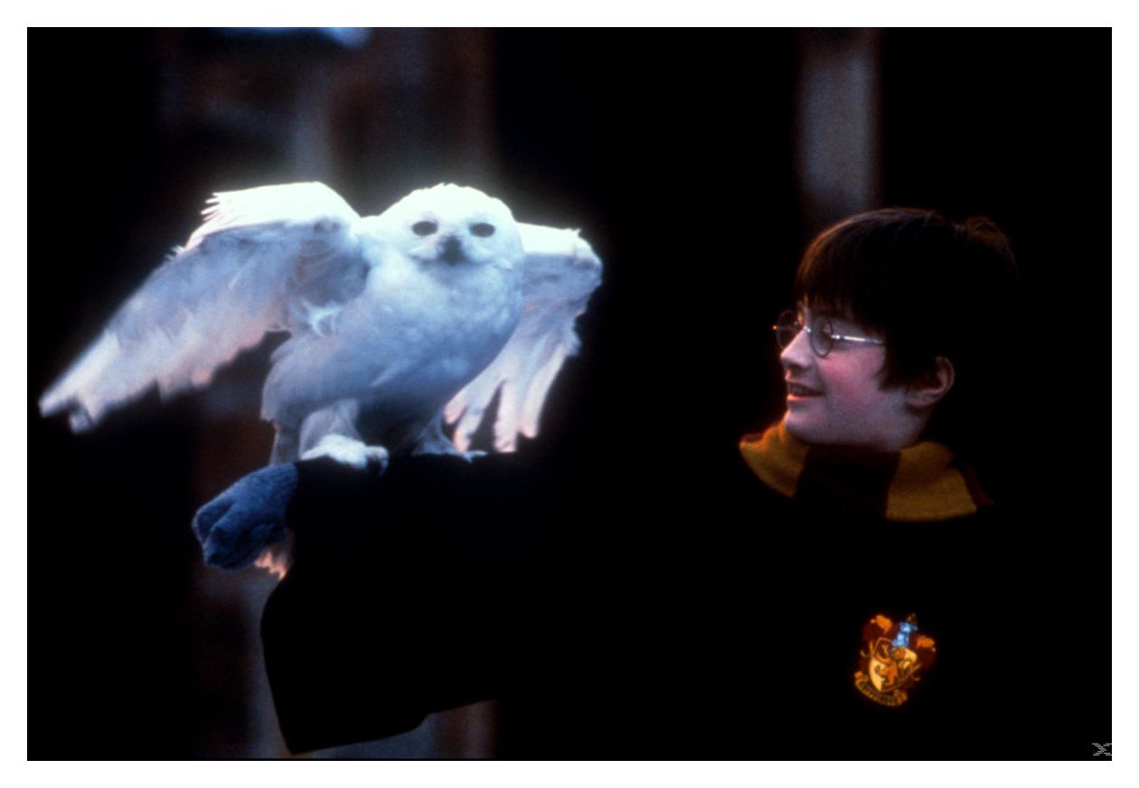 Harry Potter: The Complete Collection (DVD) 