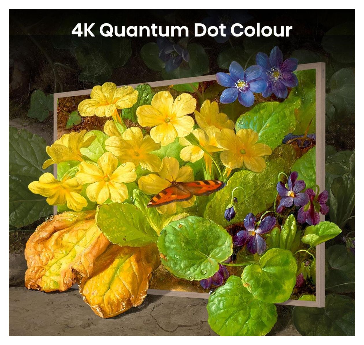 55S7NQ QLED 139,7 cm (55 Zoll) Fernseher 4K Ultra HD VESA 400 x 200 mm  (Gold) 