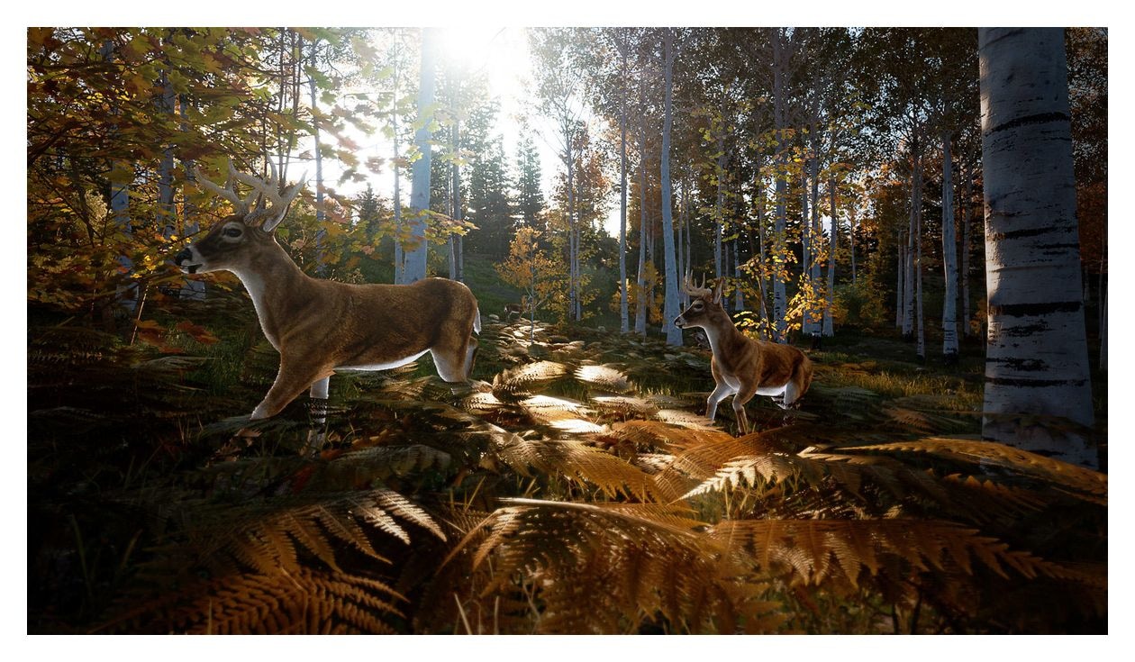 Hunting Simulator 2 (Xbox Series X) 