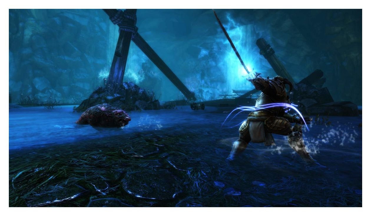 Kingdoms of Amalur Re-Reckoning (Nintendo Switch) 