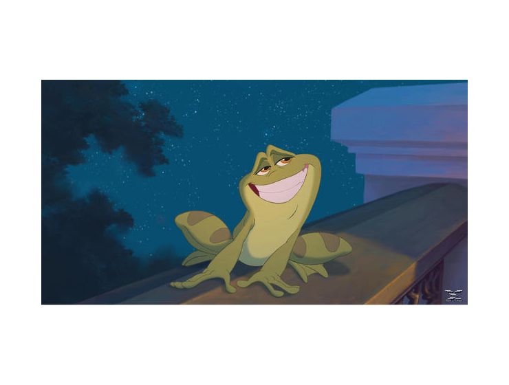 Küss den Frosch (DVD) 