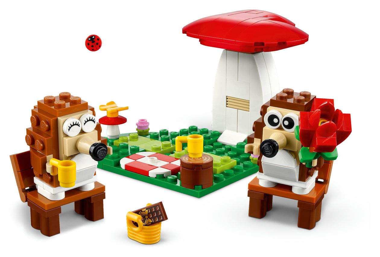 Igel und ihr Picknick-Date 