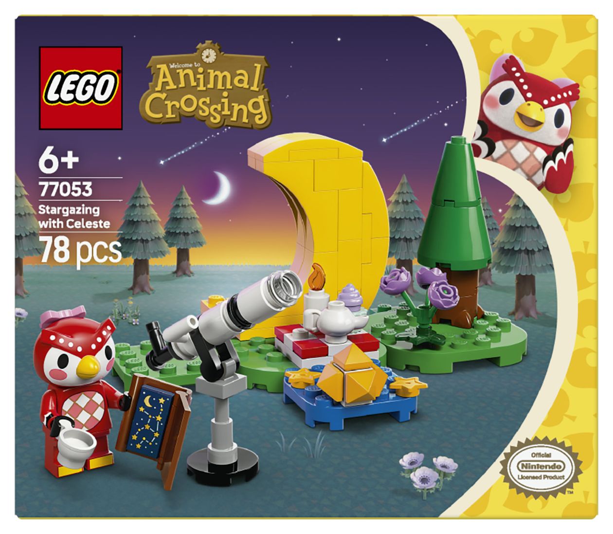 Sternbeobachtung mit Eufemia 