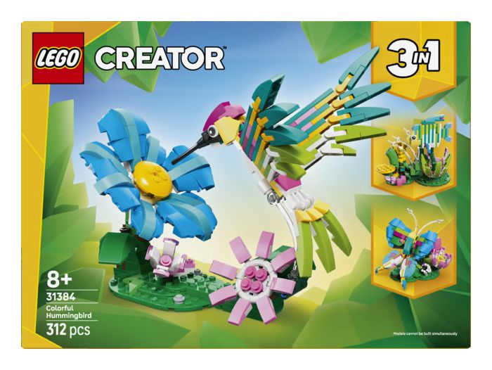 Wilde Tiere: Bunter Kolibri 