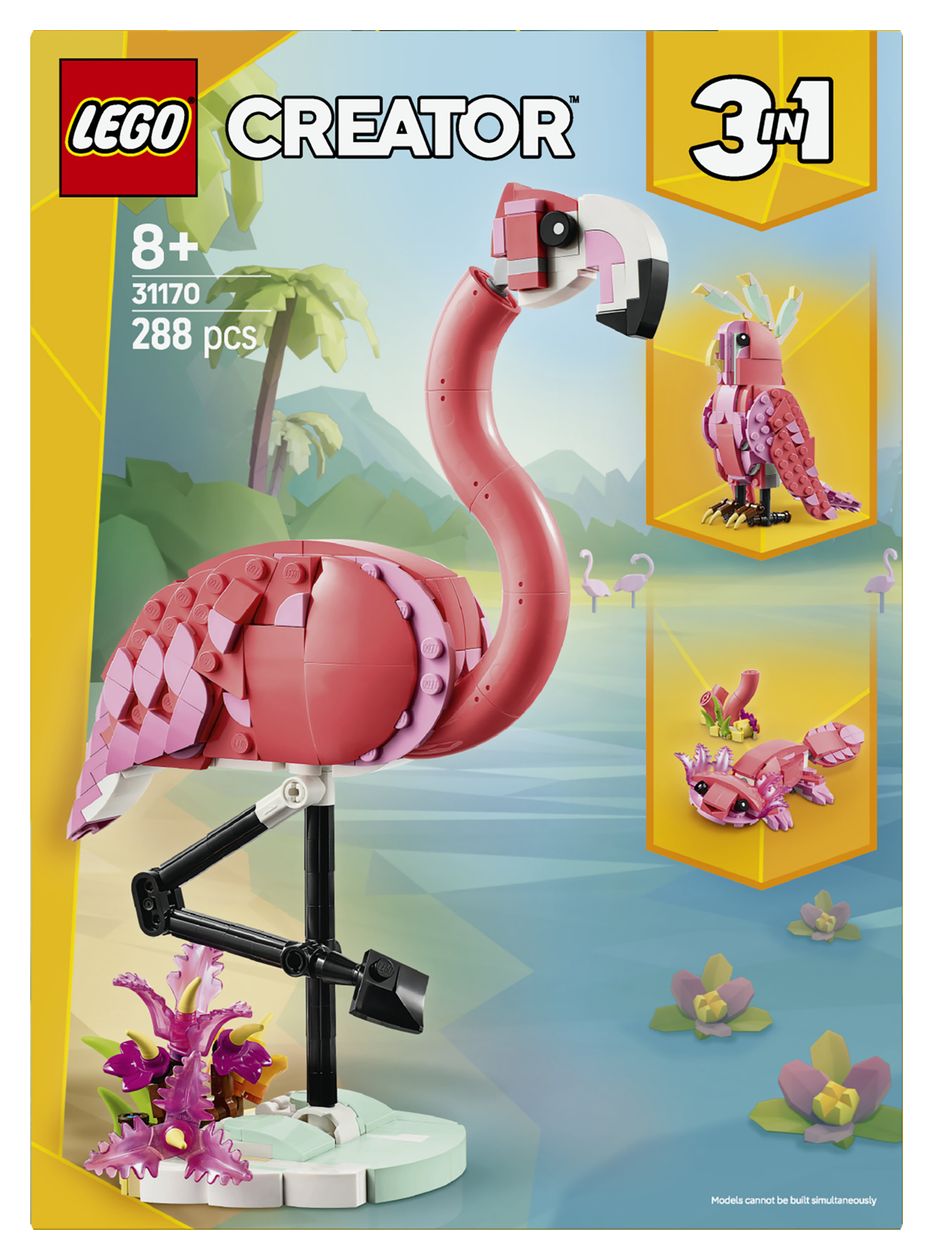 Wilde Tiere: Rosa Flamingo 