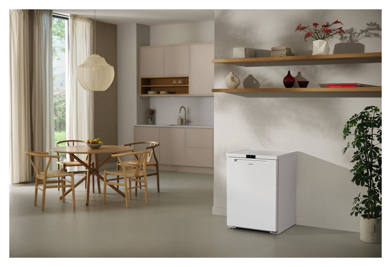 FN4002D 92 l Gefrierschrank 148 kWh Jahr NoFrost  (Weiß) 