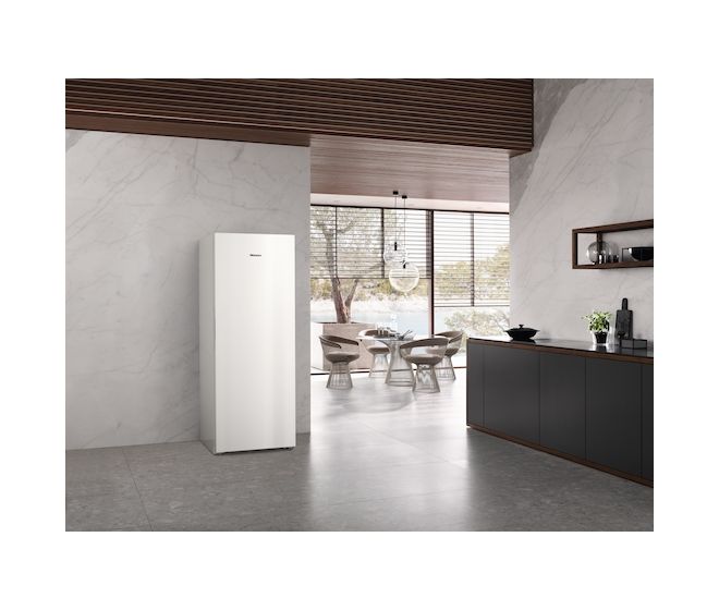 FN4879C 363 l Gefrierschrank 177,6 kWh Jahr NoFrost  (Weiß) 