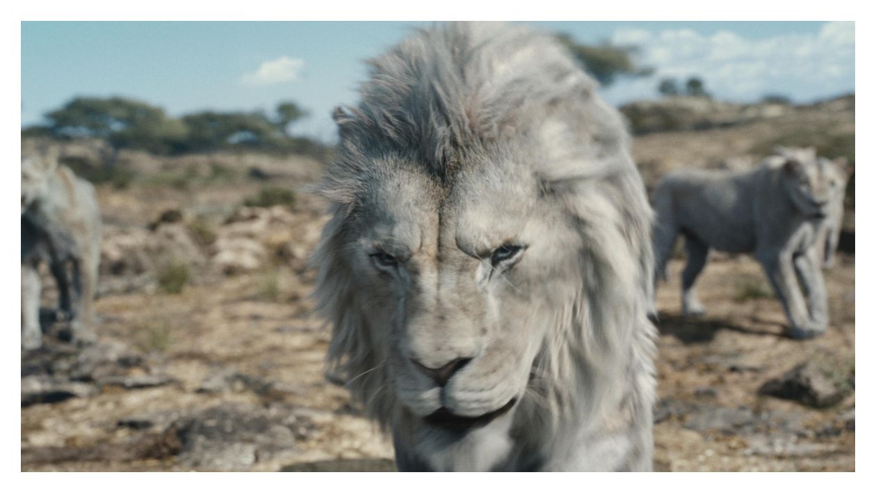 Mufasa: Der König der Löwen (DVD) 
