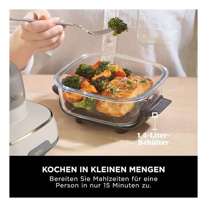 FN101EU Crispi Heißluftfritteuse 3,8 l 1700 W (Grau, Steinfarbe, Transparent) 