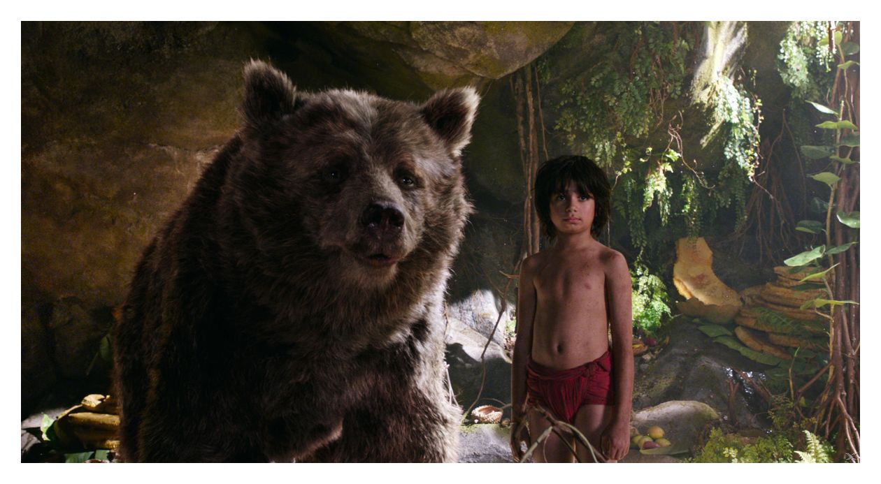 The Jungle Book (DVD) 
