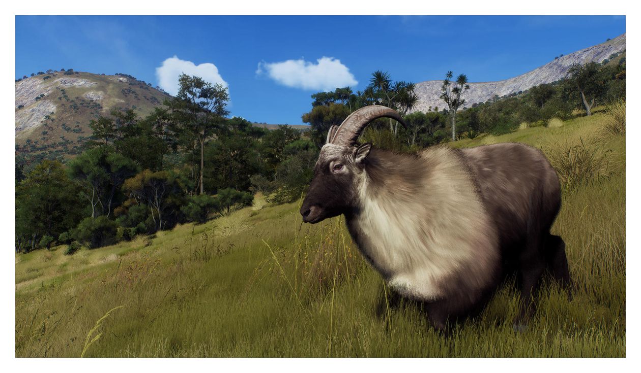 Way of the Hunter - Wild Expeditions (PlayStation 5) 