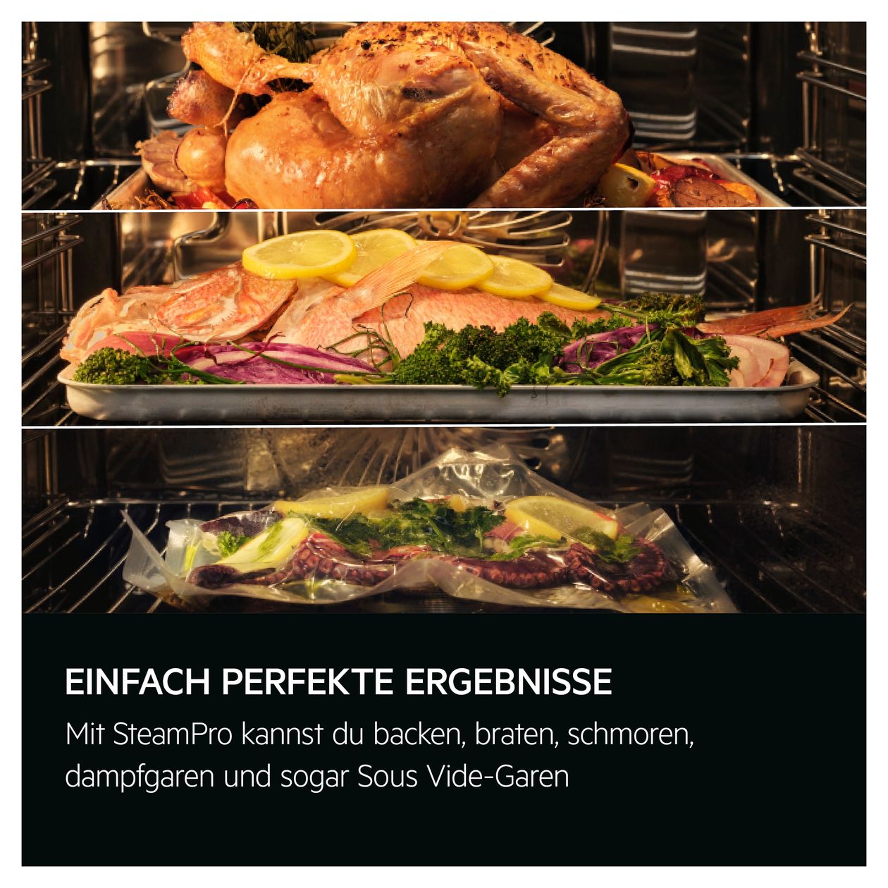 Serie 9000 TP9SK821T Einbaubackofen kompakt Dampfgaren AutoClean 