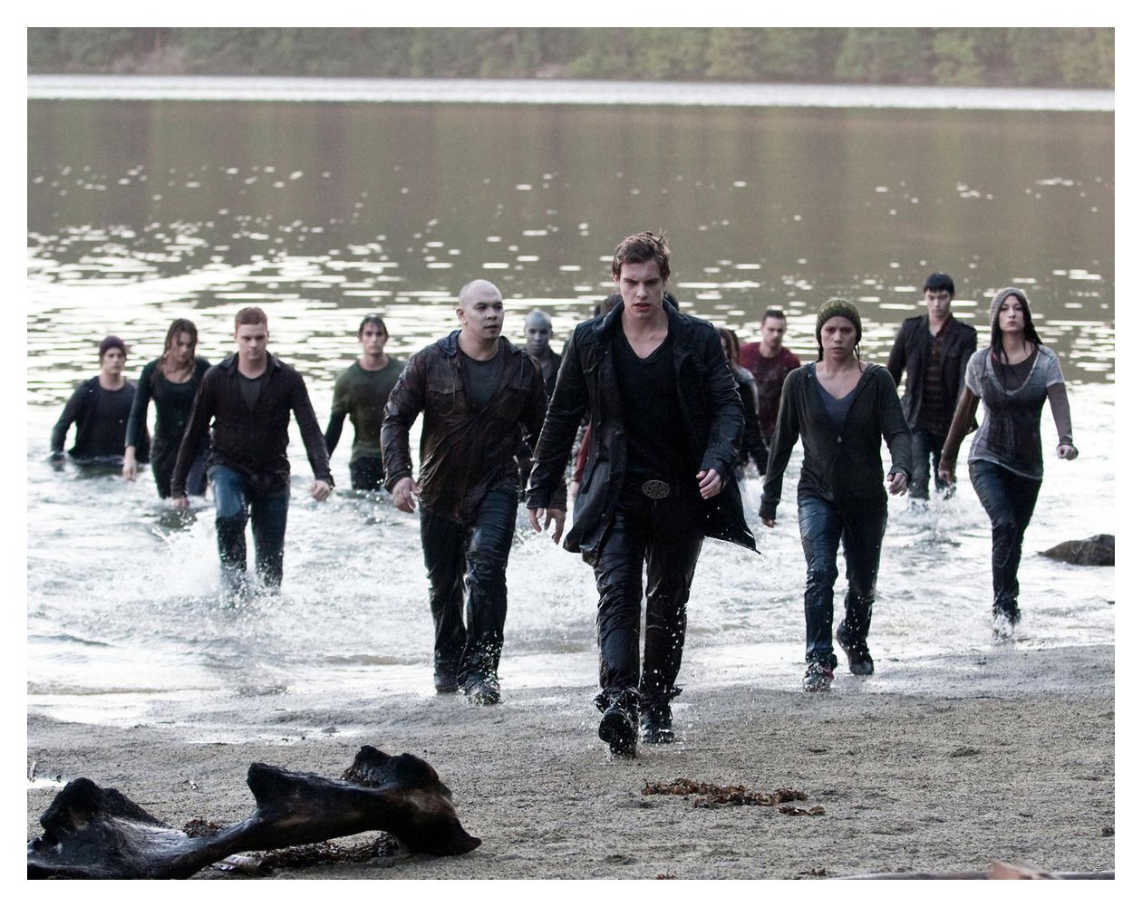 Die Twilight-Saga Film Collection (DVD) 