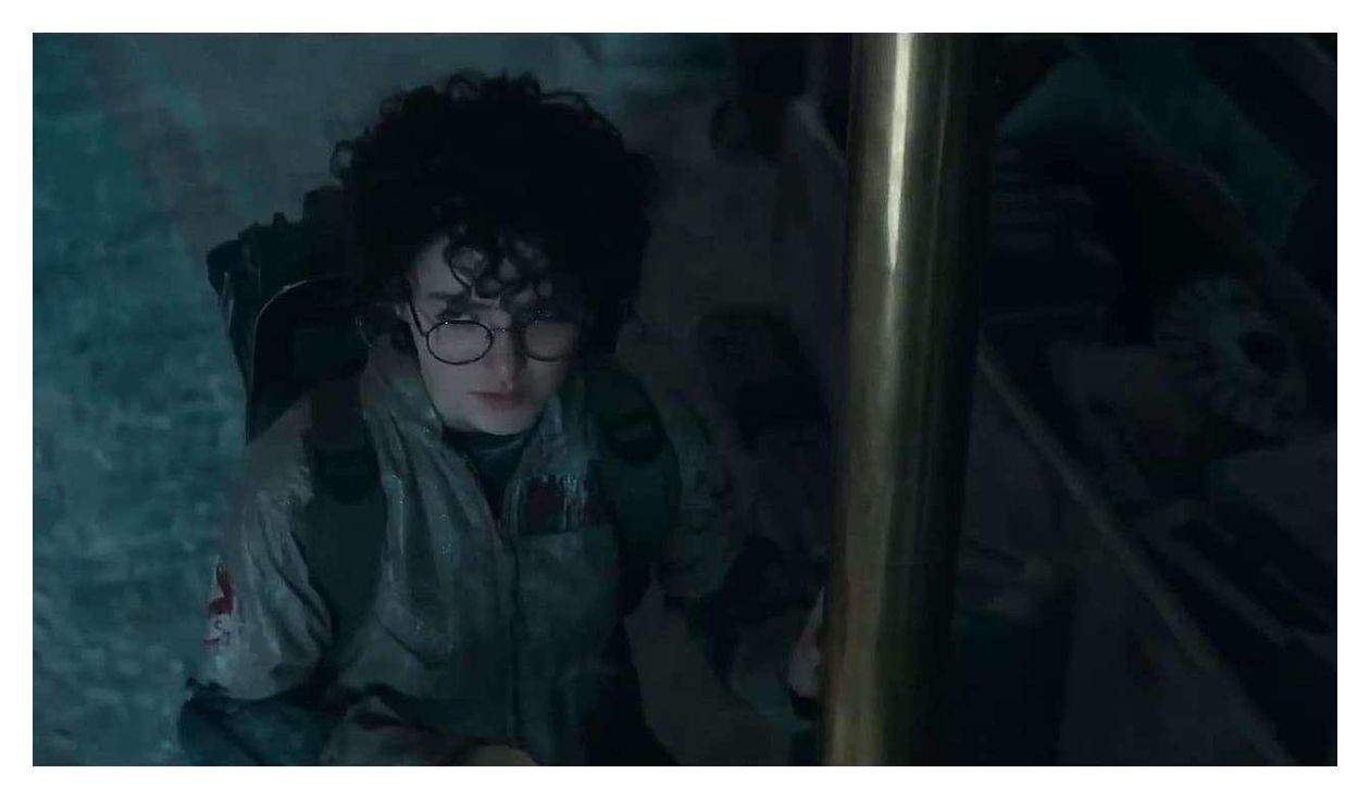 Ghostbusters: Frozen Empire (DVD) 