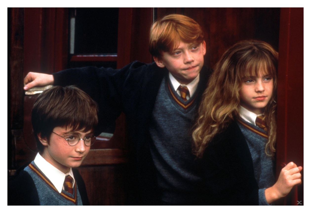 Harry Potter: The Complete Collection (DVD) 